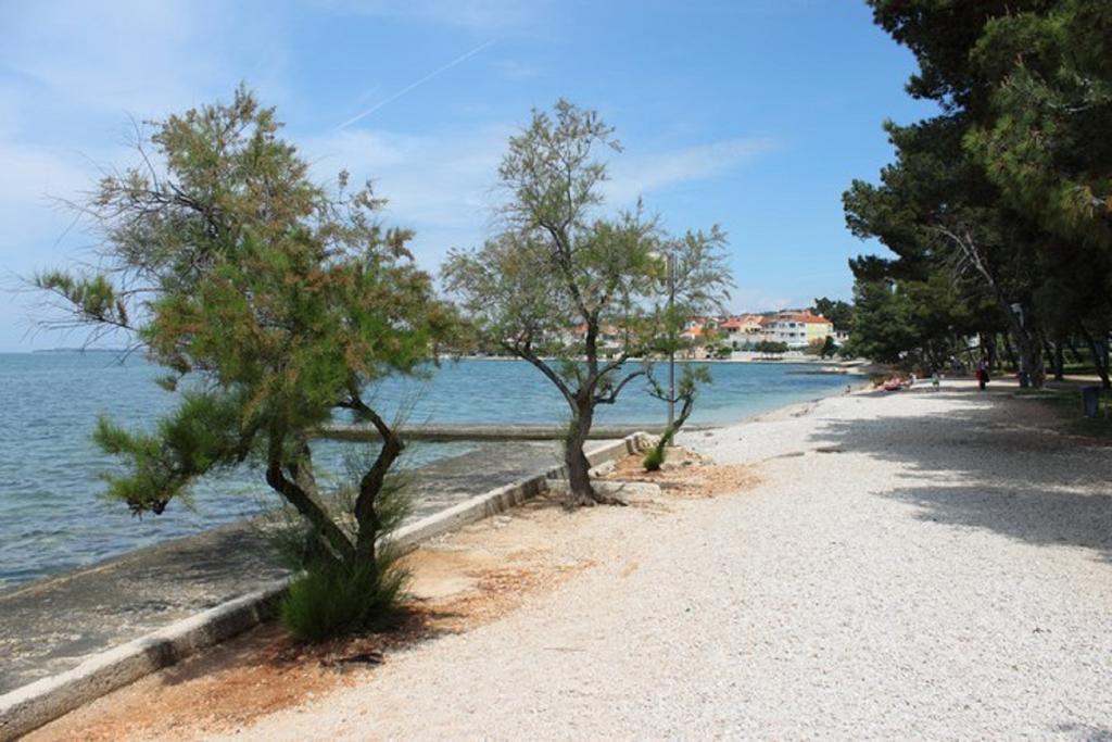 Baric Zadar